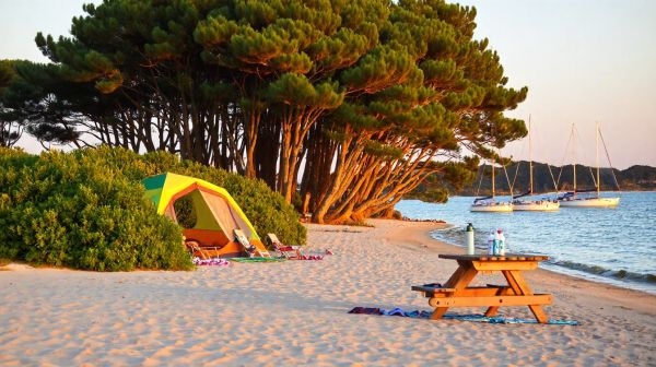 Les meilleurs campings à Oléron : s'amuser en famille au bord de la mer
